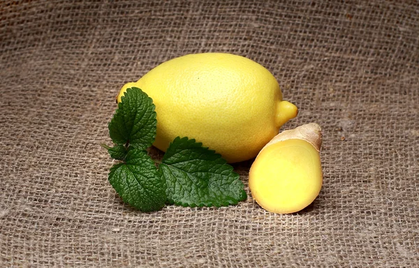 Amarillo limón y menta sobre fondo aislado —  Fotos de Stock