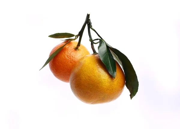 Sweet, fresh Mandarin on a branch with leaves, isolated background — Stock Photo, Image