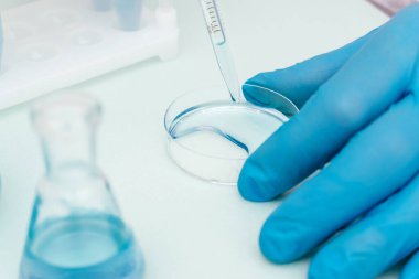 Mavi sıvıyı bir şişeden petri kabına dönüştürme sürecini kapat. Kimyasal teknoloji, biyoteknoloji, ilaç kavramı. Sığ alan derinliğine sahip seçici odaklanma, uzayı kopyalama