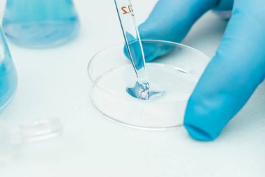 Mavi sıvıyı bir şişeden petri kabına dönüştürme sürecini kapat. Kimyasal teknoloji, biyoteknoloji, ilaç kavramı. Sığ alan derinliğine sahip seçici odaklanma, uzayı kopyalama