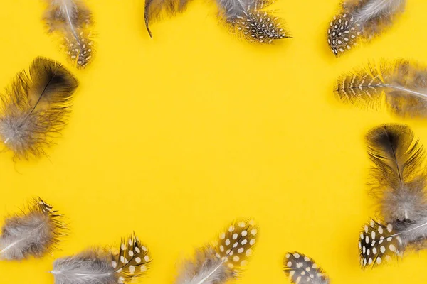Sarı Arkaplanda Bıldırcın Tüyü Çerçevesi 2021 Moda Renkleri Mutlu Paskalya — Stok fotoğraf