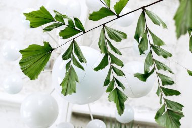 Fishtail Palm yaprakları evin iç kısımlarını kapatıyor. Ev bahçesi. Ev bitkileri ve orman kavramı. Biyofilik tasarım. Sığ alan derinliği olan seçici odaklanma..