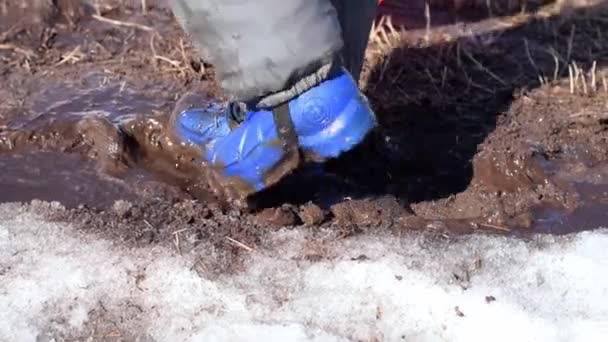 Niño Botas Goma Azul Pantalones Impermeables Está Pisoteando Barro Primavera — Vídeos de Stock