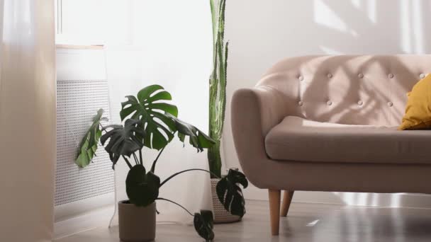 Branco Semi Transparente Tule Cortina Balançando Vento Home Interior Sunlight — Vídeo de Stock