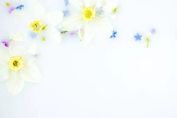 Креативний Квітковий Фон Дафоділ Квіти Плавають Молоці Копіювання Простору Вид — стокове фото