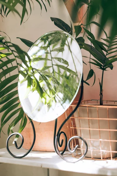 Cermin Dan Pot Tanaman Rumah Meja Interior Biophillia Rumah Design — Stok Foto