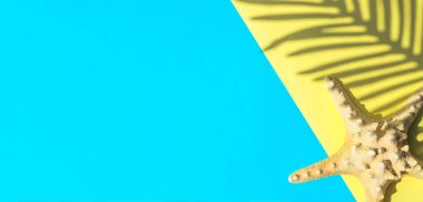 Kurumuş deniz yıldızı ve sarı ve mavi arka planda bir palmiye yaprağının gölgesi. Uzayı kopyala, düz yat, üst görüş..
