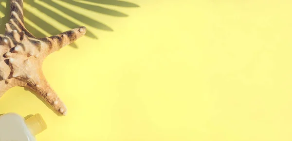 Ξηρός Αστερίας Αντηλιακό Και Σκιά Ενός Φύλλου Φοίνικα Κίτρινο Φόντο — Φωτογραφία Αρχείου