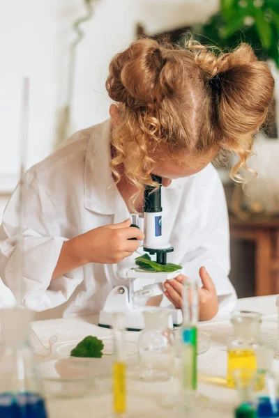 Little red-haired girl in white uniform looks into the microscope in a home laboratory.Back to school concept.Young scientists.Natural sciences.Preschool and school education of children.