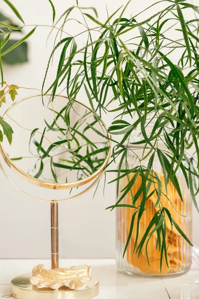 Potted Houseplants Mirror Decorative Frame Table Home Interior Biophillia Design — Stok Foto