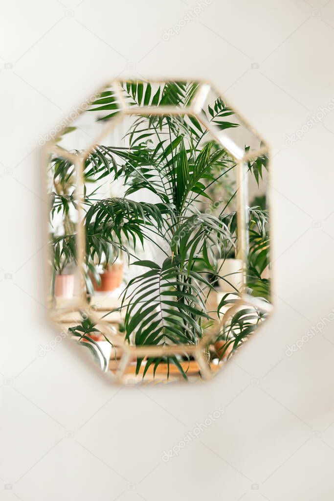 The reflection of indoor plants in a decorative mirror hanging on a white wall.Home interior design