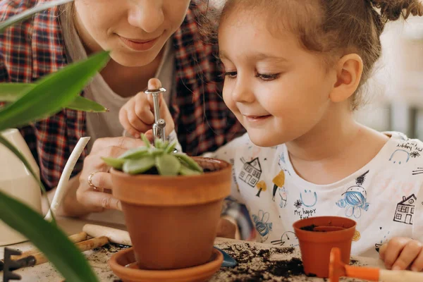 Menina Família Raça Mista Feliz Com Sua Mãe Está Plantando — Fotografia de Stock