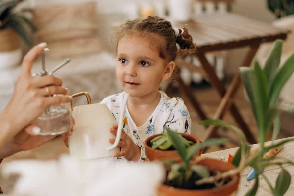 Cute Mixed Race Three Year Old Girl Planting Watering Houseplants — Stock Photo, Image