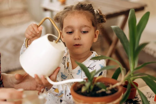 Menina Raça Mista Bonito Está Plantando Regando Plantas Vasos Cerâmica — Fotografia de Stock