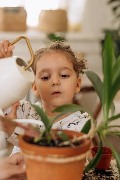 Menina Raça Mista Bonito Está Plantando Regando Plantas Vasos Cerâmica — Fotografia de Stock