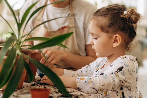 Pequena Menina Cabelos Escuros Raça Mista Com Sua Mãe Está — Fotografia de Stock