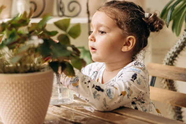 Pequena Menina Cabelos Escuros Raça Mista Está Pulverizando Plantas Sala — Fotografia de Stock