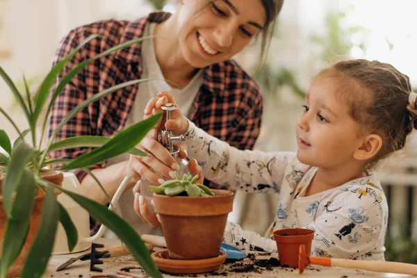 Joven Mujer Raza Mixta Feliz Con Hija Pequeña Está Plantando Imagen de stock