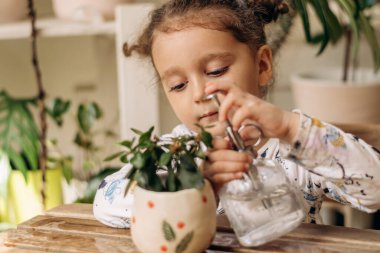 Küçük melez, koyu renk saçlı kız evdeki cam spreyinden su püskürtüyor. Ev bahçesi. Hobi anlayışı. Biyofili tasarımı ve şehir ormanı konsepti..