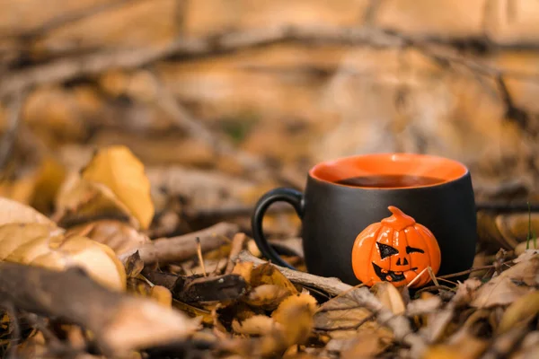 Sıcak çaylı siyah kupa, düşmüş sarı sonbahar yaprakları ve dalları arasında yerde duruyor. Kupa, balkabağı Jack O 'Lantern ile süslenmiş. Cadılar Bayramı kavramı..