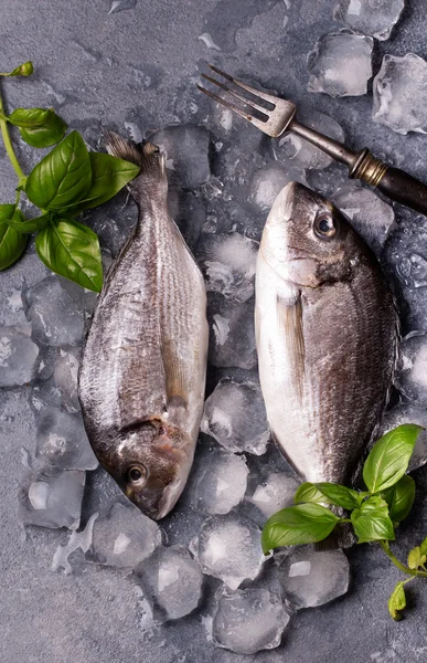 Raw delicious fresh fish on ice — Stock Photo, Image