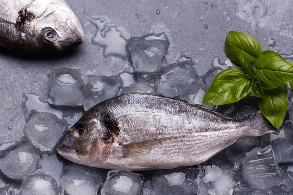 Raw delicious fresh fish on ice — Stock Photo, Image