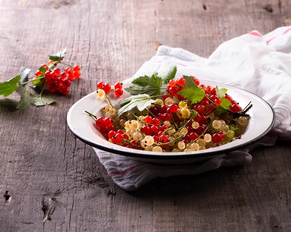 Ribes rosso e bianco su fondo di legno — Foto Stock