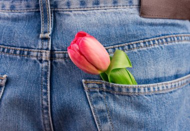 Kırmızı lale koyu mavi kot pantolonun cebinden görünüyor.