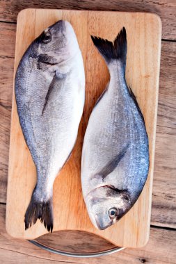 kesme tahtası üzerinde iki taze gilt kafa çipura balığı