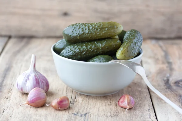 Pickled cucumbers in white porcelain bowl — Stock Photo, Image