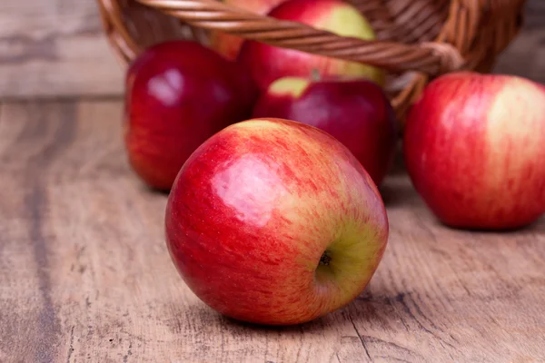 달콤한 사과 나무 배경 — 스톡 사진