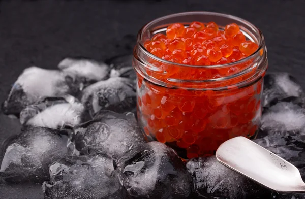 Glass jar with salmon caviar standing in the middle of ice cubes on black slate plate — Stock Photo, Image