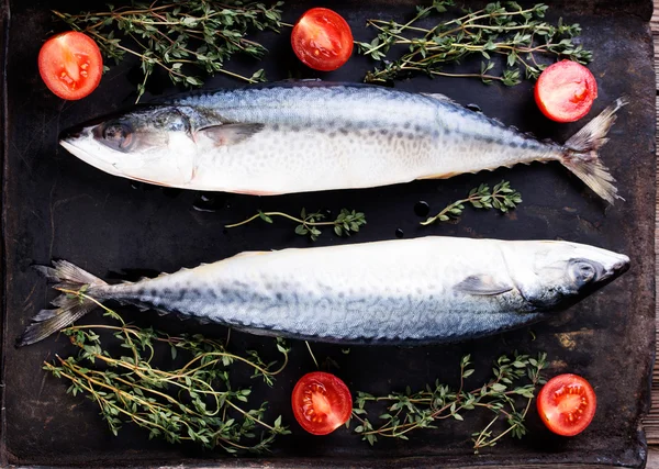 Raw mackerel on old black metallic oven tray — Stock Photo, Image