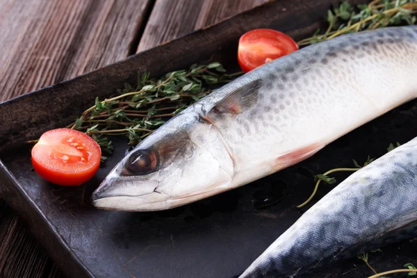 Raw mackerel on old black metallic oven tray — Stock Photo, Image