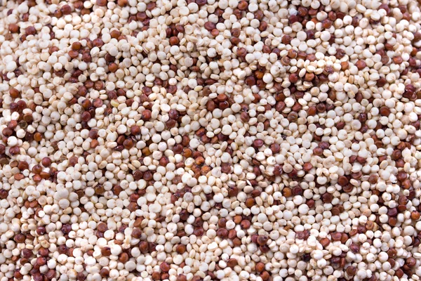 Quinoa — Fotografia de Stock