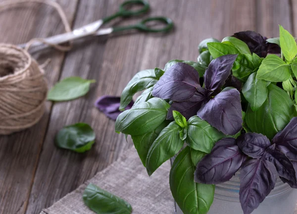 Sekelompok hijau segar dan basil ungu daun di latar belakang kayu — Stok Foto