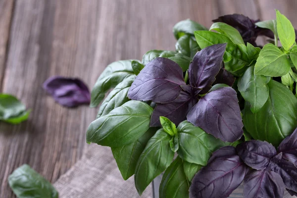 Sekelompok hijau segar dan basil ungu daun di latar belakang kayu — Stok Foto