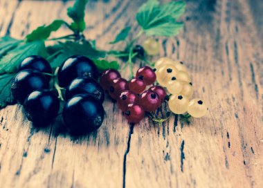 Kırmızı, beyaz ve siyah frenk üzümü