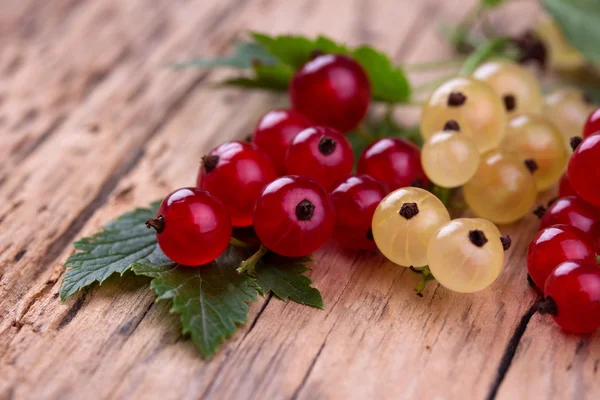 Red and white currant — Stock Photo, Image