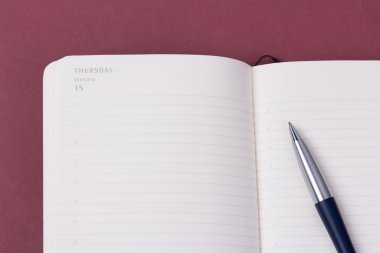 Lüks topu kalem ile açık günlük planlayıcısı