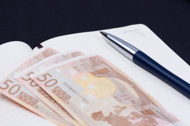 Lüks topu kalem ve bazı euro banknot ile açık günlük planlayıcısı