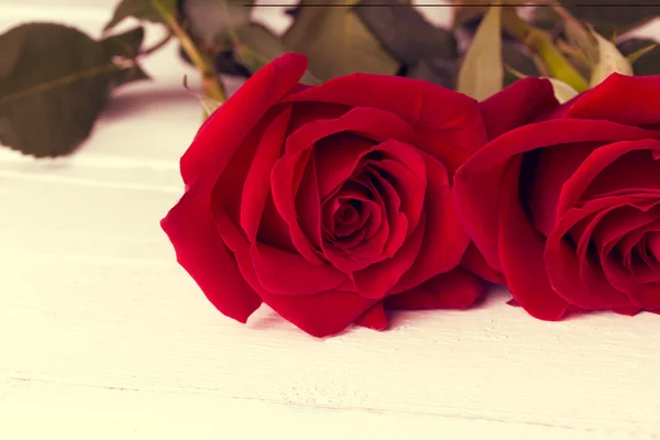 Rosa vermelha em um fundo de madeira branca — Fotografia de Stock