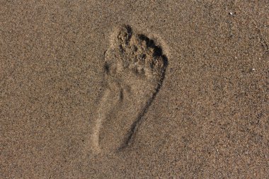 Kumda ayak izleri