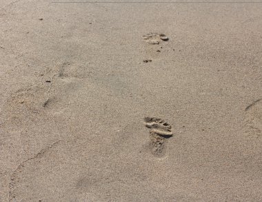 Kumda ayak izleri