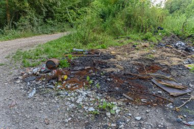 Vahşi, Dünya Çevre Günü Konsepti