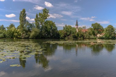 Nehir, Fransa 'nın Alsace ovasındaki Huttenheim köyünün yakınında..
