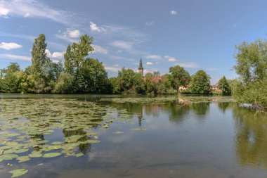 Nehir, Fransa 'nın Alsace ovasındaki Huttenheim köyünün yakınında..