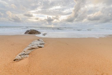 Fransa 'nın Atlantik kıyısında kumsalda Olonne sur mer yakınlarında.