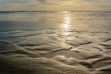 Kumsalda gün batımında Camargue, Espiguette plajı..