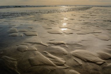 Kumsalda gün batımında Camargue, Espiguette plajı..